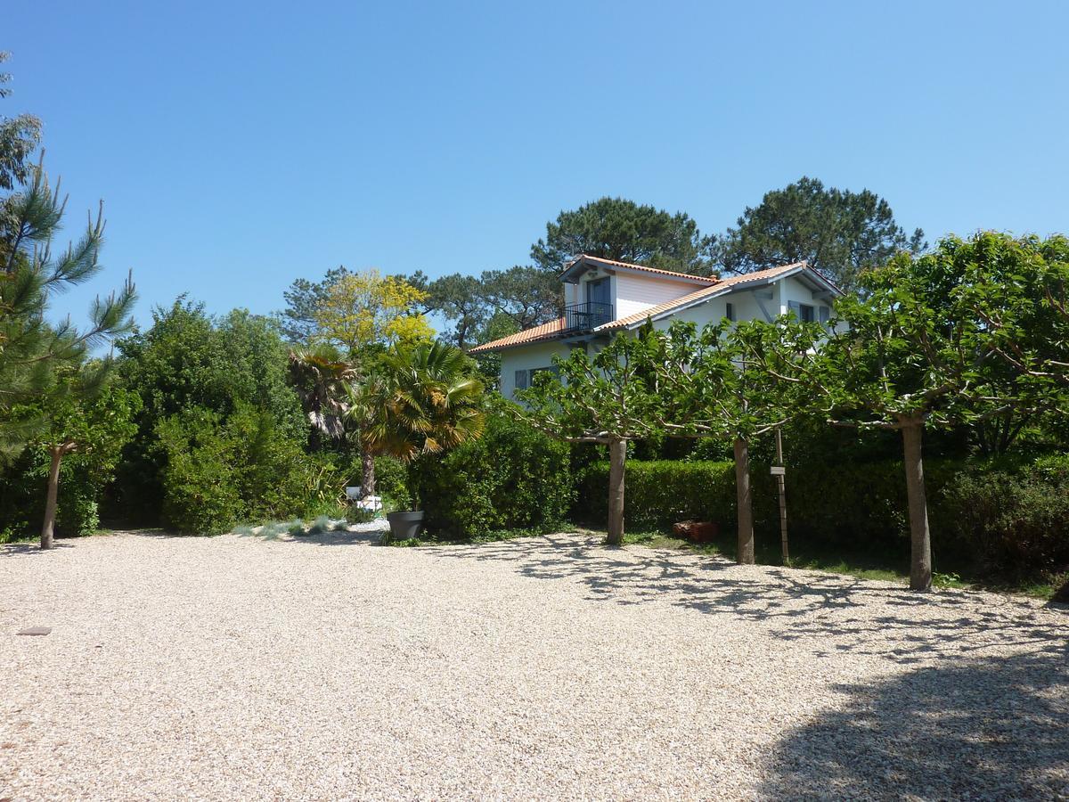 Maison Arbolateia Avec Piscine Et Spa Bidart Exterior photo